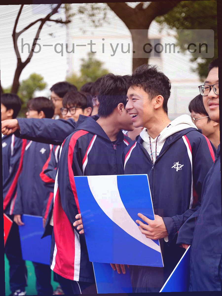 球队档案卡字段与数据排布特写，主场、成立年份与近三赛季走势成列排开